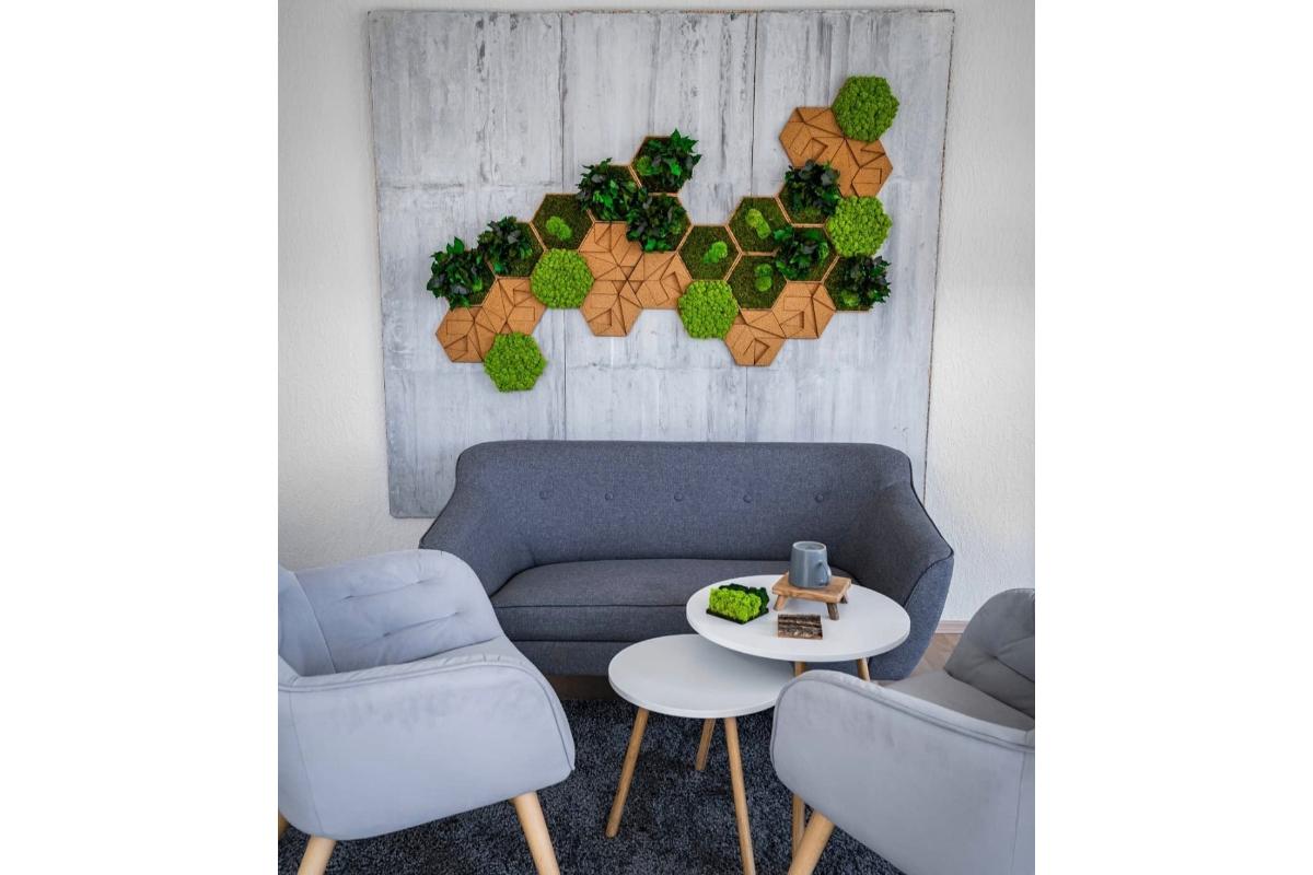 jardines verticales hexagonales decorativos