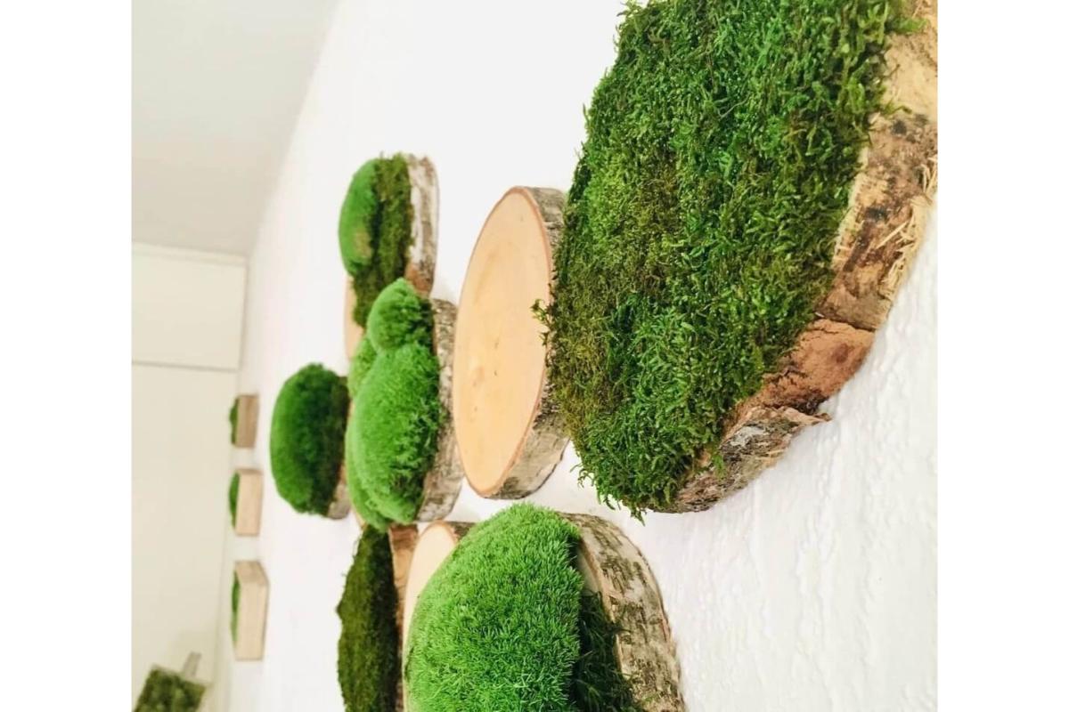 jardines verticales en elementos naturales